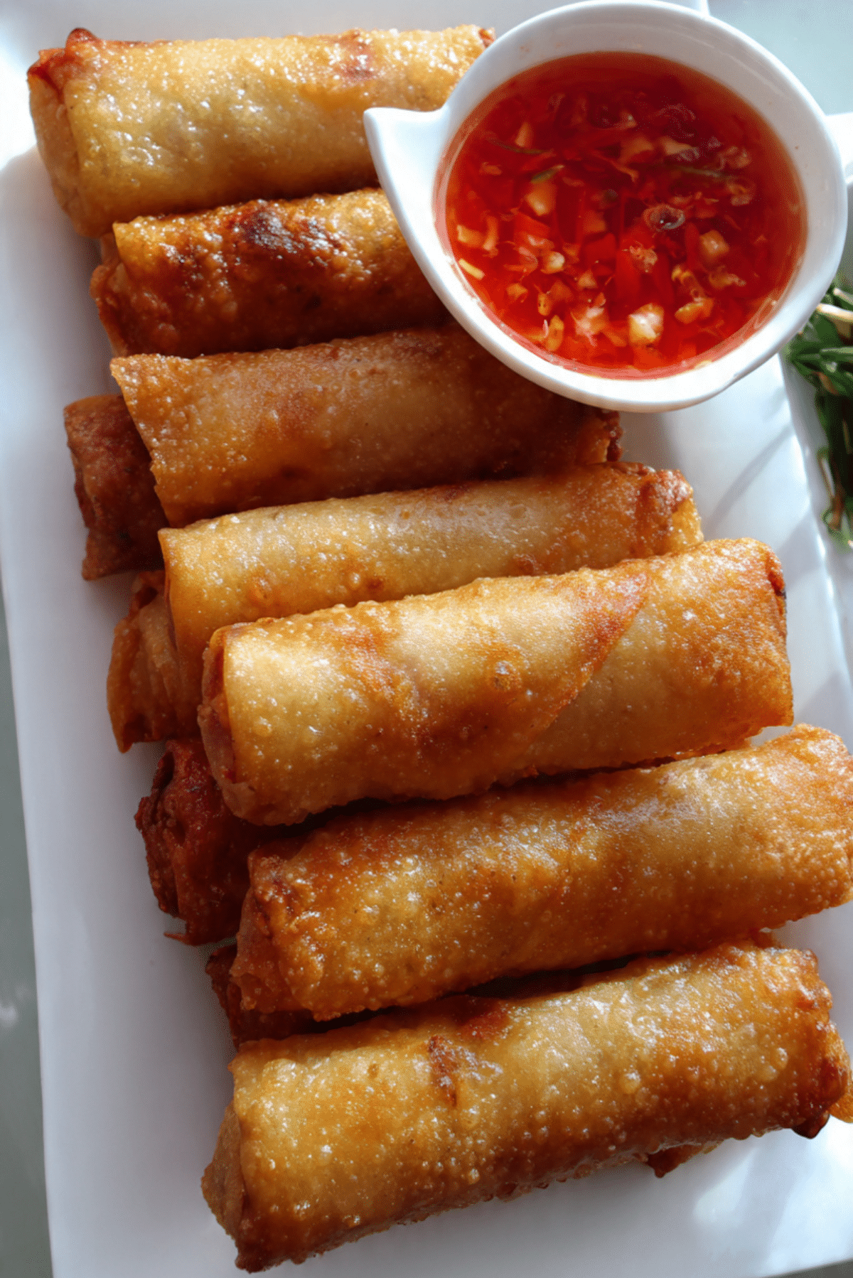Veggie Cheese Spring Rolls