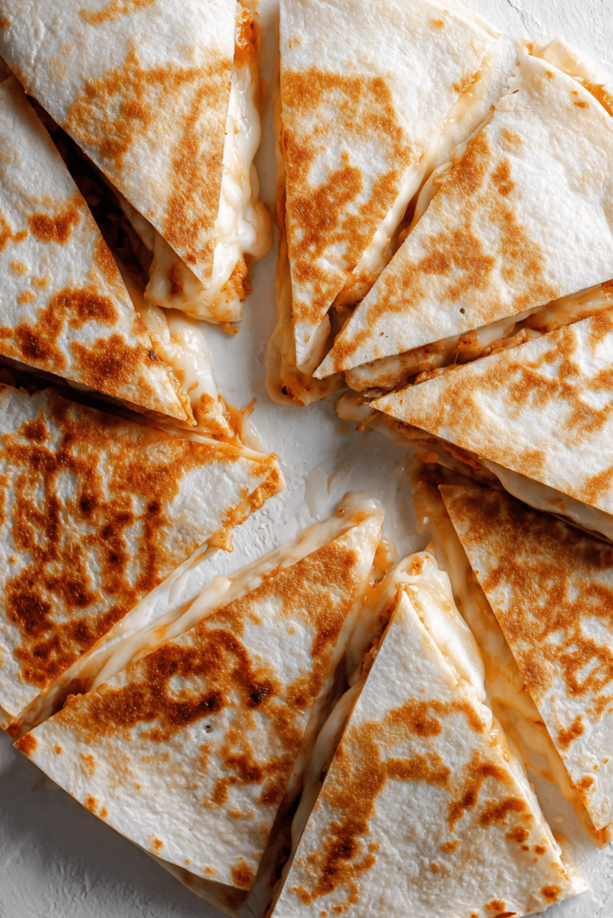 Chicken Quesadilla