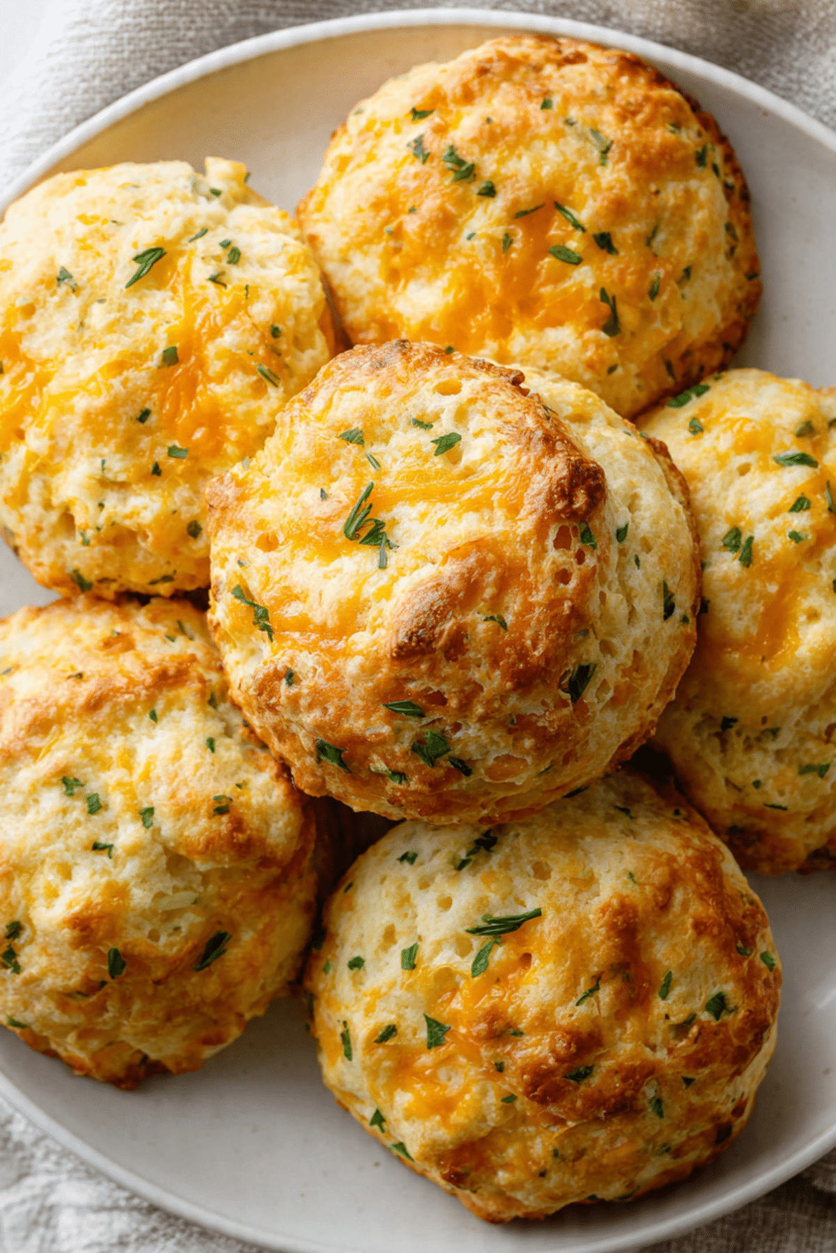 Cheddar Herb Biscuits